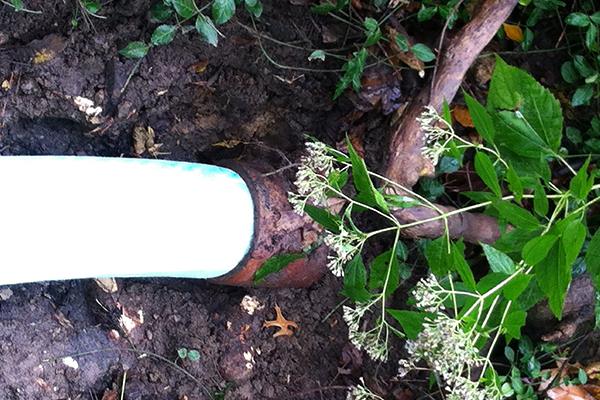 step-by-step-a-look-at-the-trenchless-pipe-lining-process