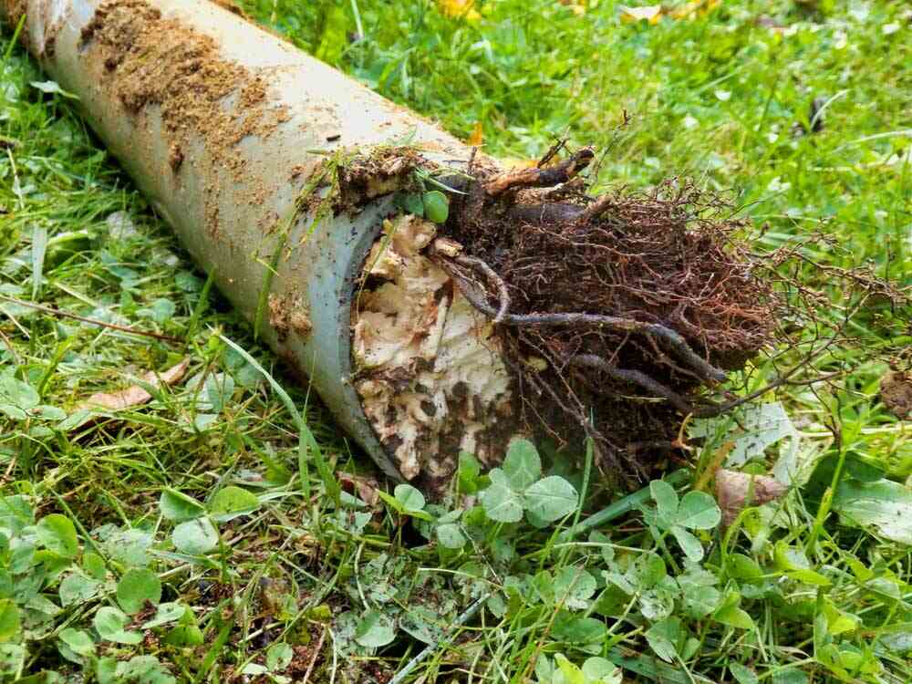 emergency pipe bursting repair Roswell, GA